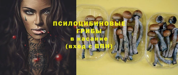 трава Сосновоборск