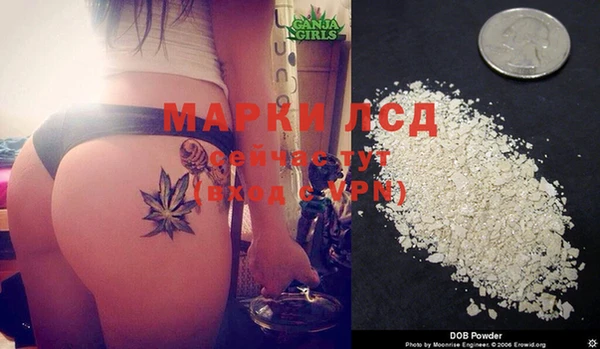 трава Сосновоборск